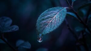 PW – Looking Up